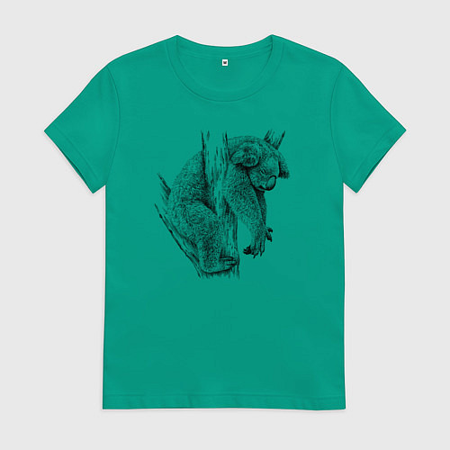 Женская футболка Коала спит на дереве / Зеленый – фото 1