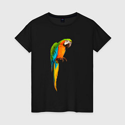 Женская футболка Попугайчик интересно смотрит