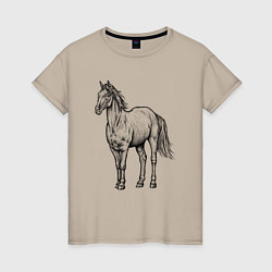 Футболка хлопковая женская Лошадь стоит, цвет: миндальный