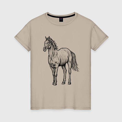 Женская футболка Лошадь стоит / Миндальный – фото 1