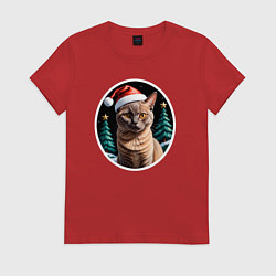 Женская футболка Кот Бурманской породы в новогодней шапке