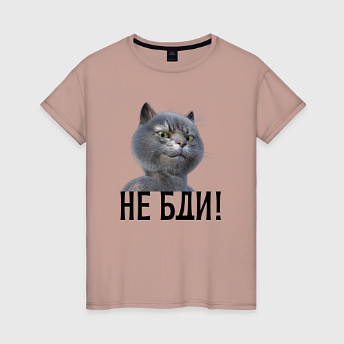 Женская футболка Высокомерный кот не бди / Пыльно-розовый – фото 1