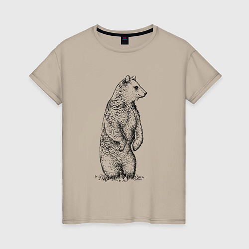 Женская футболка Медведь стоящий / Миндальный – фото 1