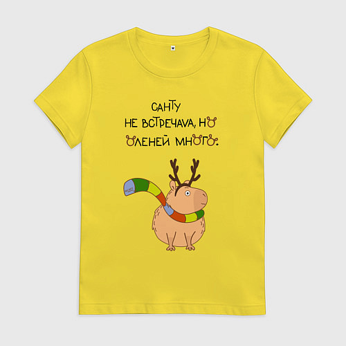 Женская футболка Мем капибара в шарфике / Желтый – фото 1