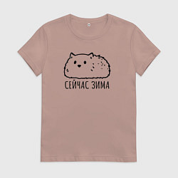 Женская футболка Сейчас зима пушичстый кот