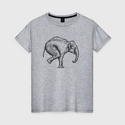 Женская футболка Слон акробат
