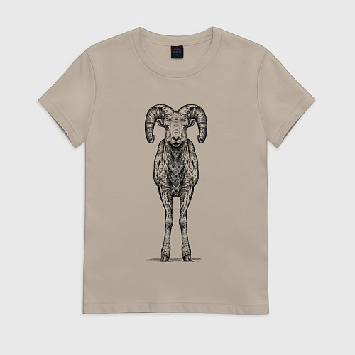 Женская футболка Баран анфас / Миндальный – фото 1