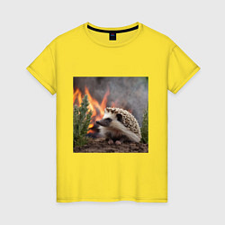 Женская футболка Ёжик в огне