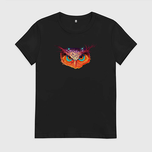 Женская футболка Мудрая волшебная сова / Черный – фото 1
