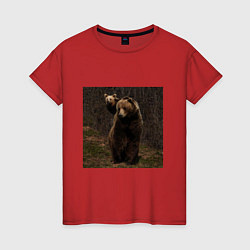 Футболка хлопковая женская Медведи гуляют по лесу, цвет: красный