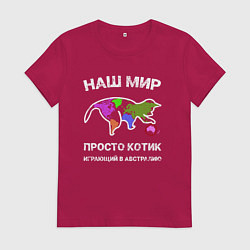 Женская футболка Котик на карте