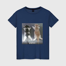 Женская футболка Мемные коты умерчики