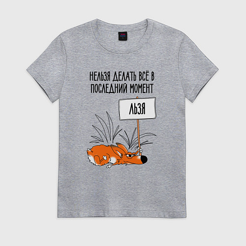 Женская футболка Хитрый ленивый лисёнок / Меланж – фото 1