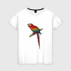 Футболка хлопковая женская Попугай ara macaw, цвет: белый