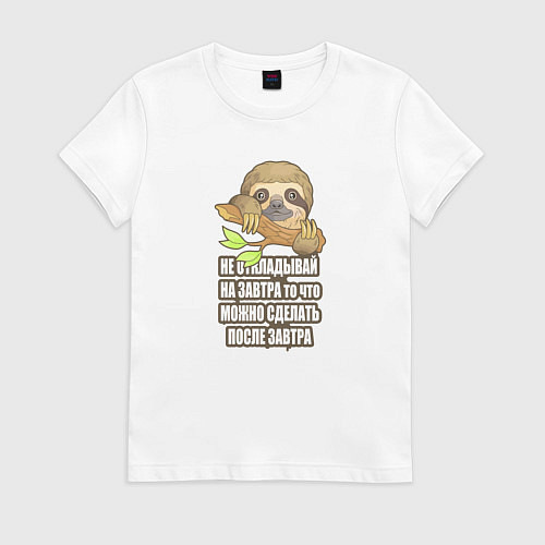Женская футболка Забавный маленький ленивец / Белый – фото 1