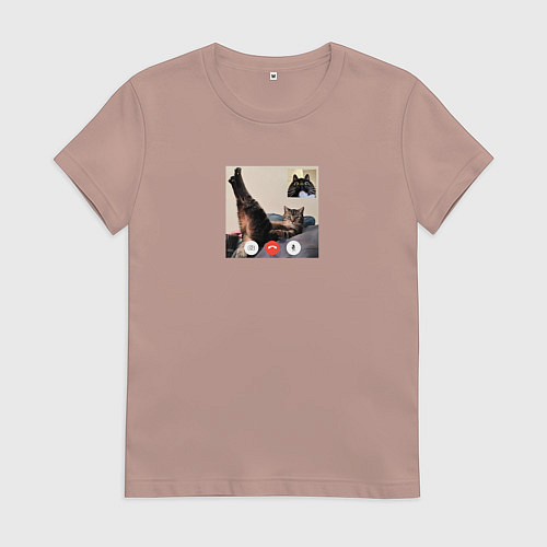 Женская футболка Видеозвонок с кошкой - мем для пары / Пыльно-розовый – фото 1