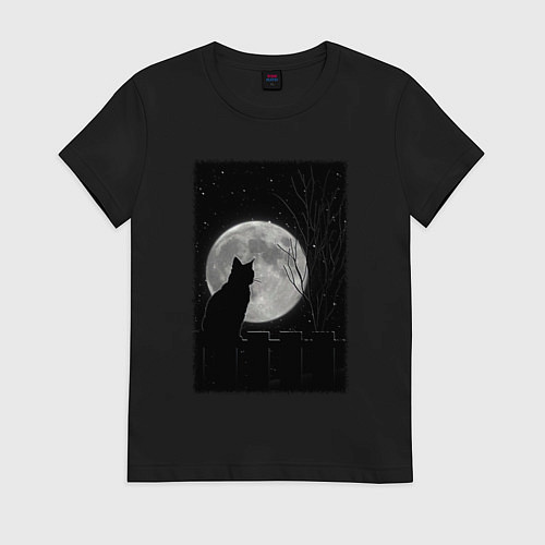 Женская футболка Кот при луне / Черный – фото 1