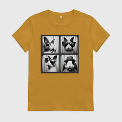 Женская футболка Кролик в фотобудке