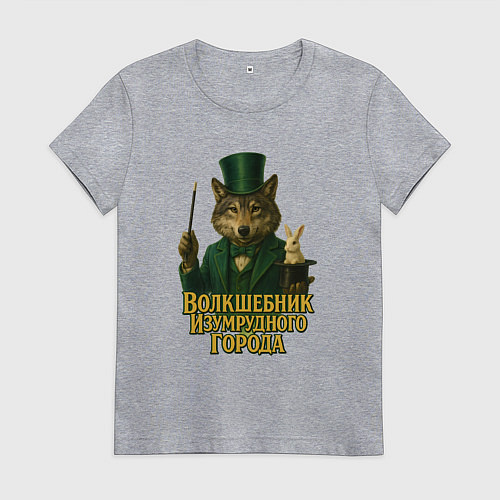 Женская футболка Волшебник Изумрудного города / Меланж – фото 1