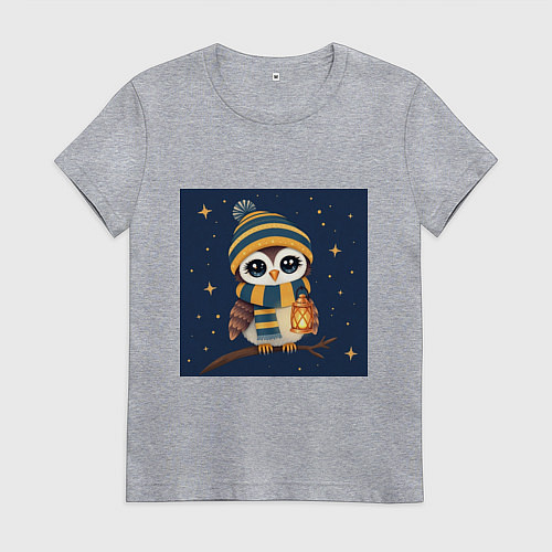 Женская футболка Сова в шапке и шарфе с фонарём / Меланж – фото 1