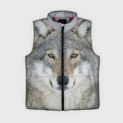 Женский жилет Милый волк, цвет: 3D-красный