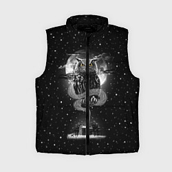 Женский жилет Ночная сова, цвет: 3D-черный