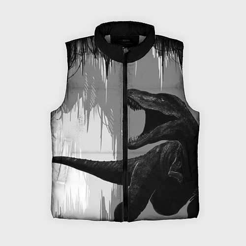 Женский жилет Пещера динозавра / 3D-Светло-серый – фото 1