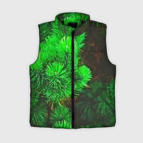 Женский жилет Зелёная ель / 3D-Черный – фото 1