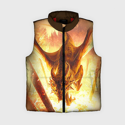Женский жилет Дракон / 3D-Красный – фото 1