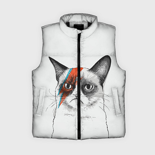 Женский жилет David Bowie: Grumpy cat / 3D-Черный – фото 1