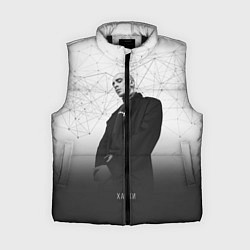 Женский жилет Хаски: Геометрия, цвет: 3D-черный