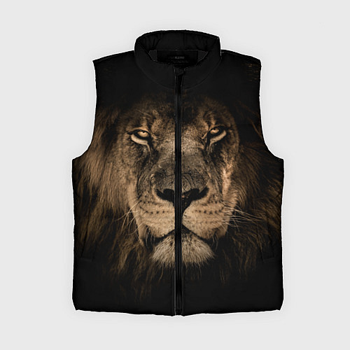 Женский жилет Львиный взгляд / 3D-Черный – фото 1
