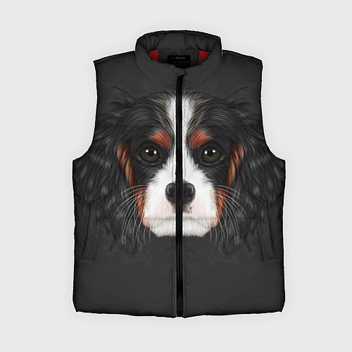 Женский жилет Cavalier King Charles / 3D-Красный – фото 1