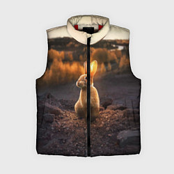 Женский жилет Солнечный зайчик, цвет: 3D-красный