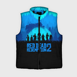 Женский жилет RDR 2: Blue Style, цвет: 3D-черный
