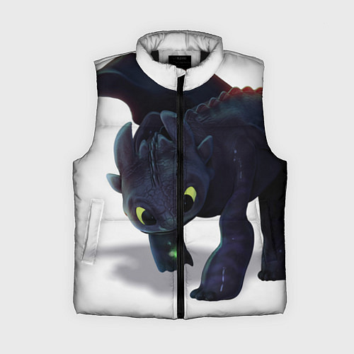 Женский жилет Как приручить дракона / 3D-Черный – фото 1