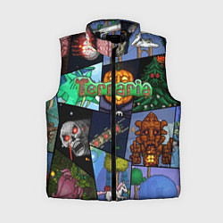 Женский жилет Terraria, цвет: 3D-черный