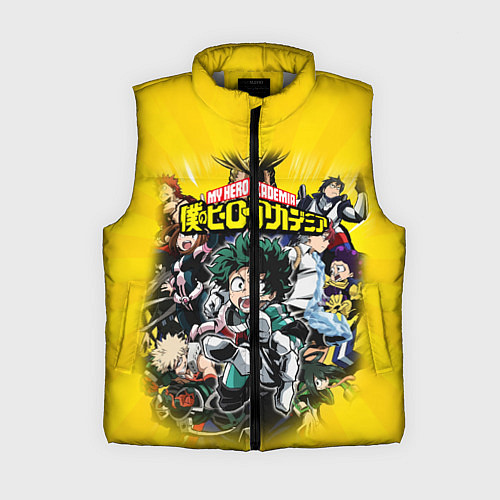 Женский жилет MY HERO ACADEMIA группа героев / 3D-Светло-серый – фото 1