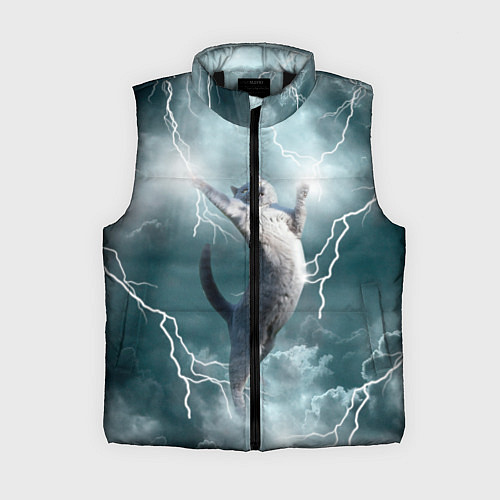 Женский жилет Грозовой кошак / 3D-Черный – фото 1