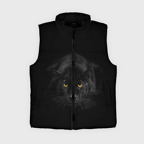 Женский жилет Пантера / 3D-Черный – фото 1
