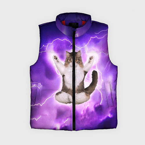 Женский жилет Повелитель Молний Котэ / 3D-Красный – фото 1