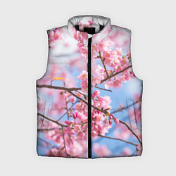 Женский жилет Ветки Сакуры