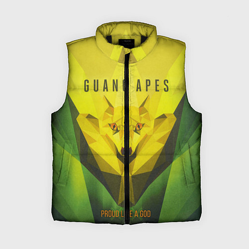 Женский жилет Proud Like a God / 3D-Черный – фото 1