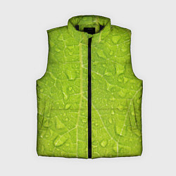 Женский жилет Листок с росой