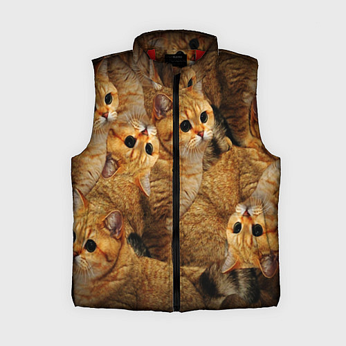 Женский жилет КОТЯТУШКИ / 3D-Красный – фото 1