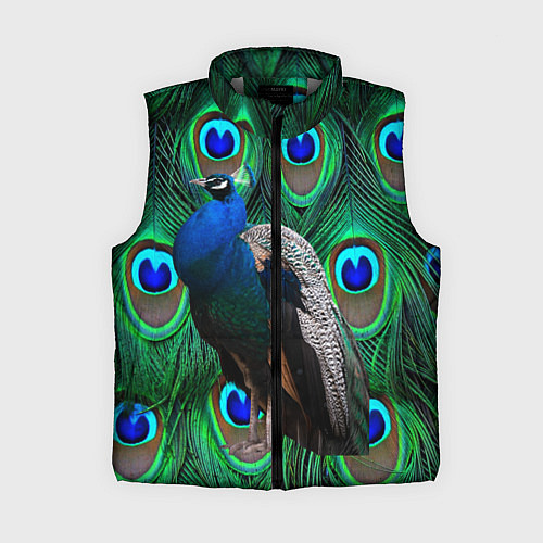 Женский жилет Павлин на фоне своих перьев / 3D-Светло-серый – фото 1