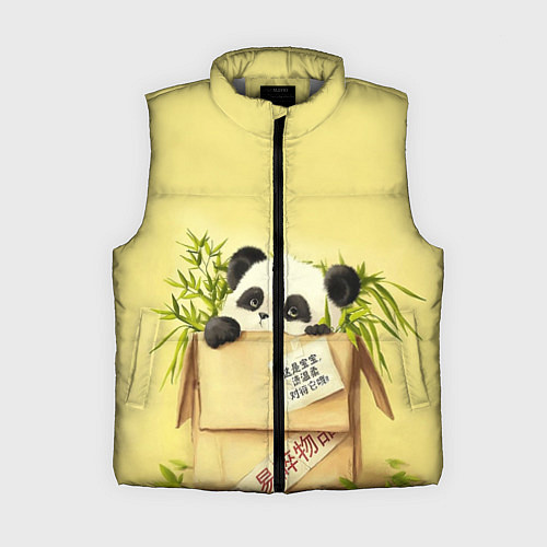 Женский жилет Заказывали Панду? ? / 3D-Светло-серый – фото 1