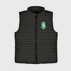 Женский жилет Slytherin, цвет: 3D-черный