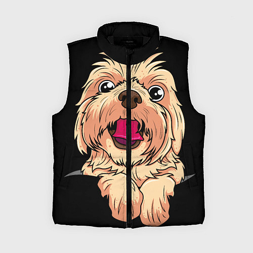 Женский жилет Ши тцу / 3D-Черный – фото 1
