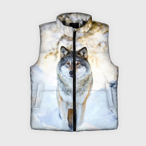 Женский жилет Я зимой / 3D-Черный – фото 1